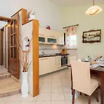 New Modern Dream 2019 * Kreševo