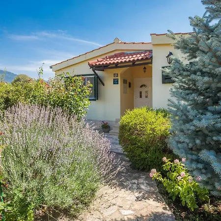 New Modern Dream 2019 Villa *